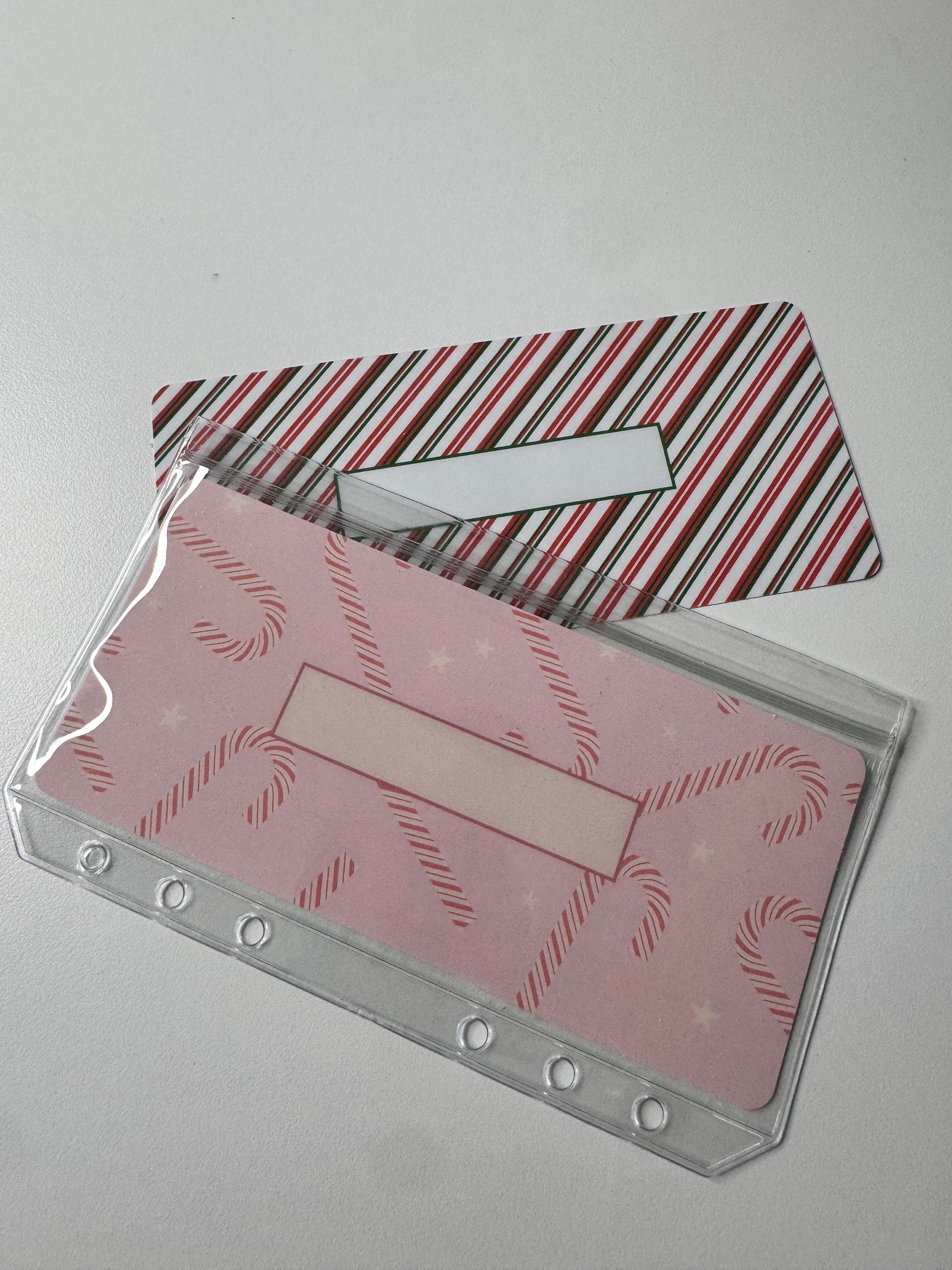 New Cash Envelopes with Separate Insert